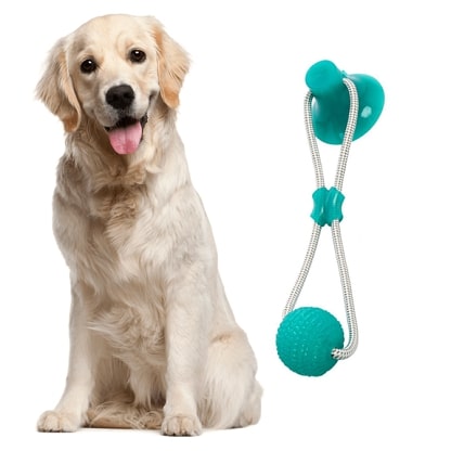 PULLBIT_GALLERY_IMG1