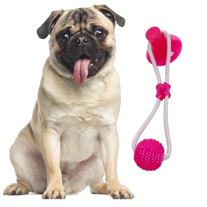 PULLBIT_GALLERY_IMG2