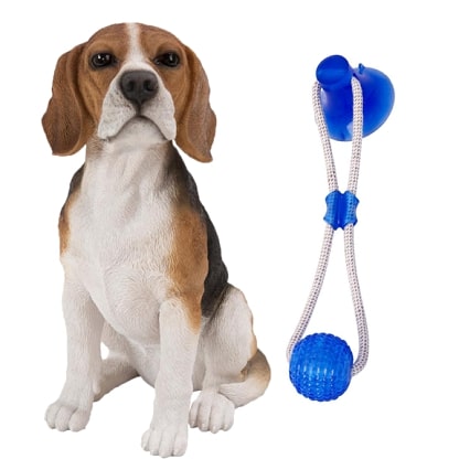 PULLBIT_GALLERY_IMG3