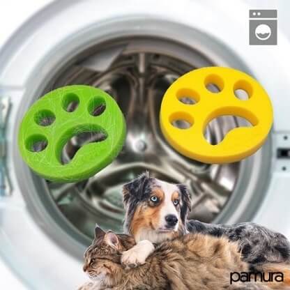 LINT_PAW-FEATURED_IMG