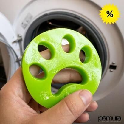 LINT_PAW_GALLERY_IMG1