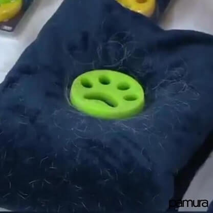 LINT_PAW_GALLERY_IMG10