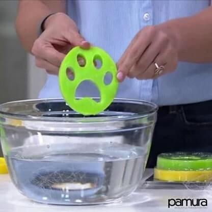 LINT_PAW_GALLERY_IMG12