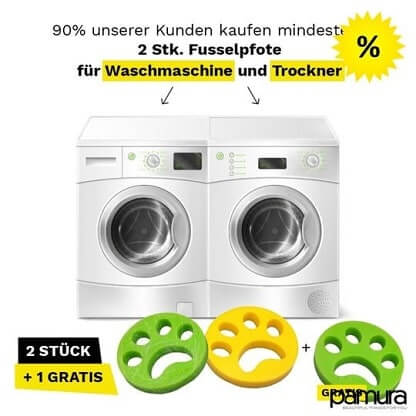 LINT_PAW_GALLERY_IMG2