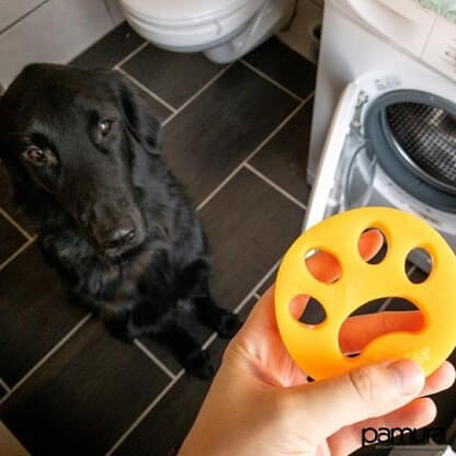 LINT_PAW_GALLERY_IMG4