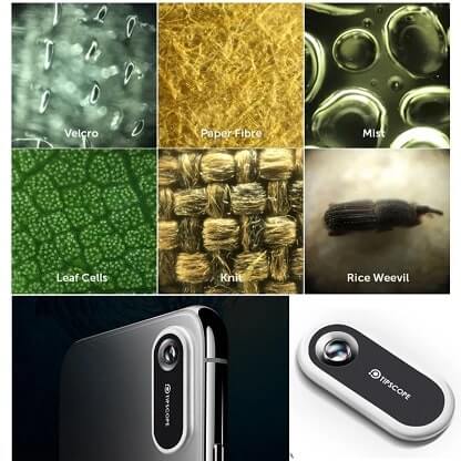 MICROSCOPE_GALLERY_IMG5