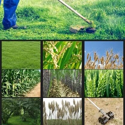 CUTTER_BLADE_GALLERY_IMG3