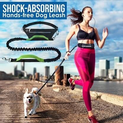 DOG_LEASH_FEATURED_IMG