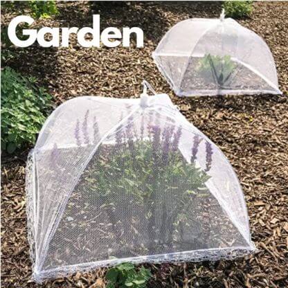 Food_Tent_Gallery_Img2