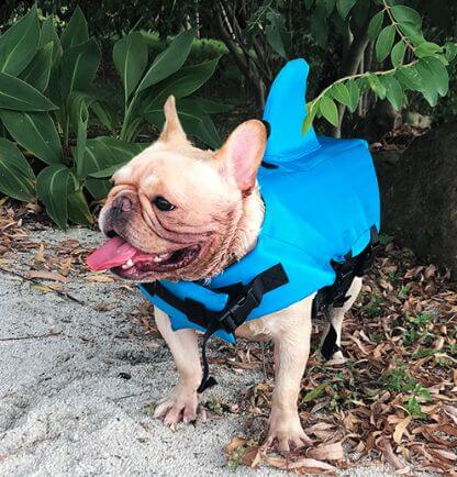 Shark_Life_Vest_Gallery_Img22