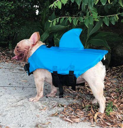 Shark_Life_Vest_Gallery_Img23