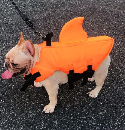 Shark_Life_Vest_Gallery_Img25