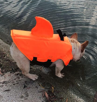 Shark_Life_Vest_Gallery_Img26