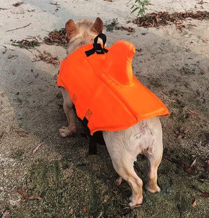 Shark_Life_Vest_Gallery_Img30