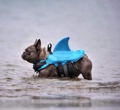 Shark_Life_Vest_Gallery_Img5