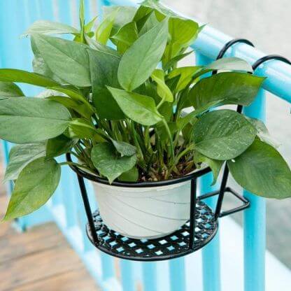Flower_Planters_Holder_Gallery_Img3-min