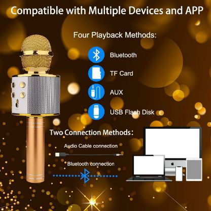 Karaoke_Mic_Speaker_Gallery_Img1-min