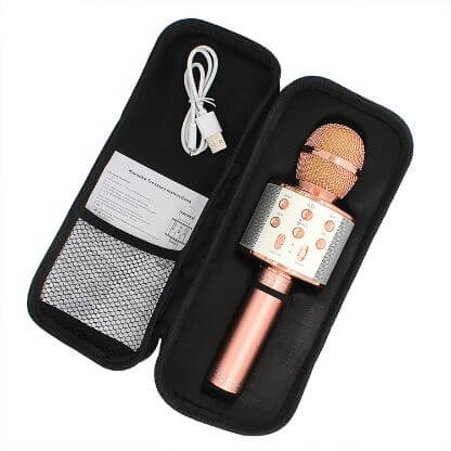 Karaoke_Mic_Speaker_Gallery_Img5-min