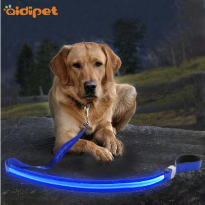 Led_Transparent_Thread_Dog_Leash_Featured_Img