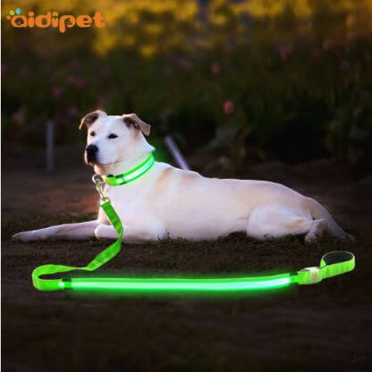 Led_Transparent_Thread_Dog_Leash_Gallery_Img1