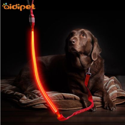 Led_Transparent_Thread_Dog_Leash_Gallery_Img2