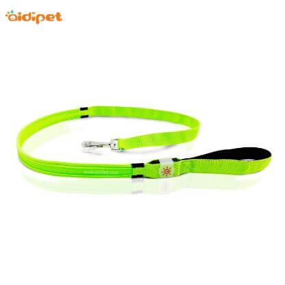 Led_Transparent_Thread_Dog_Leash_Gallery_Img5