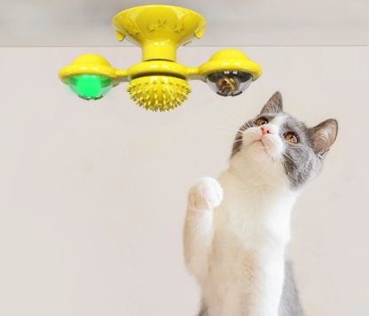 WINDMILL_CAT_TOY_GALLERY_IMG1-min