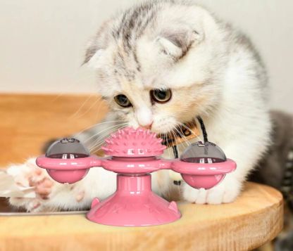 WINDMILL_CAT_TOY_GALLERY_IMG2-min