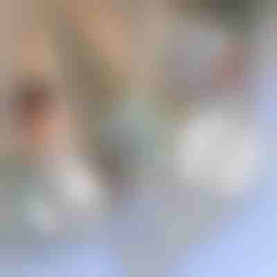 Szúnyogháló javítószalag | INSECTAPE