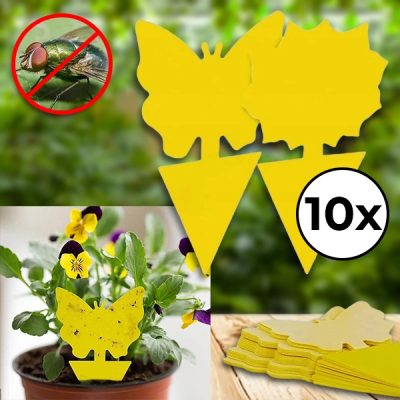 Ragadós légycsapda (10 darab) | BUGILURE