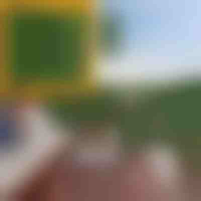 Mesterséges levelekkel ellátott magánélet védelmi panel | LEAFPANEL