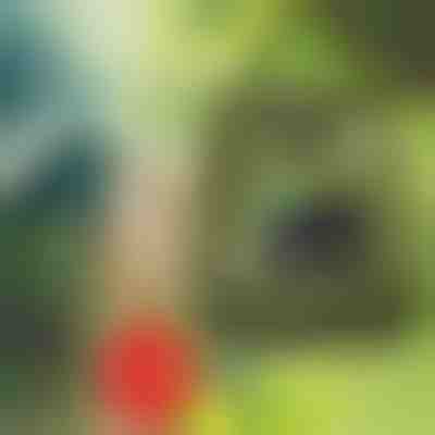 Napelemes kempingzuhany beépített hőmérővel (20L) | SHOWDY