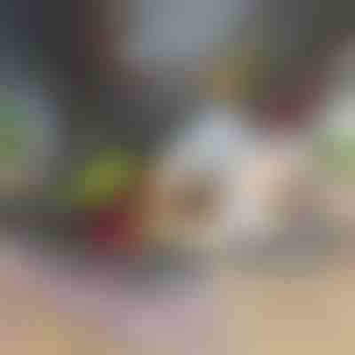 12 az 1-ben zöldségaprító és szeletelő (7 penge mellékelve) | CHOPMASTER