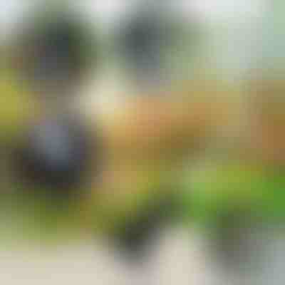 Kerti szerszám 4 az 1-ben | VERSAX