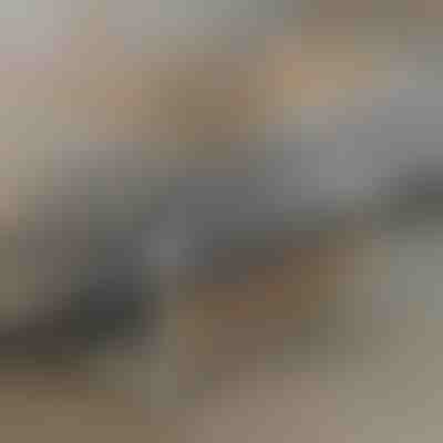 Hordozható asztal | EVOSTUL