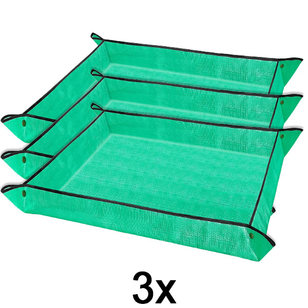 3x Szőnyeg növények átültetésének  | FLORAMAT