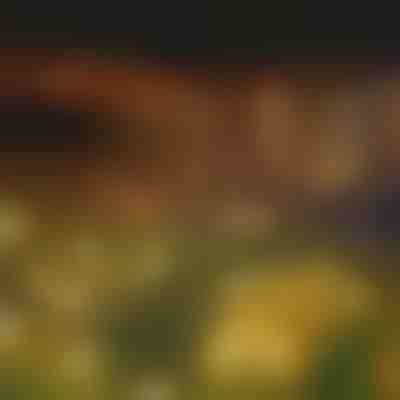 Kerti szolárlámpák (meleg fény) | SOMPEX